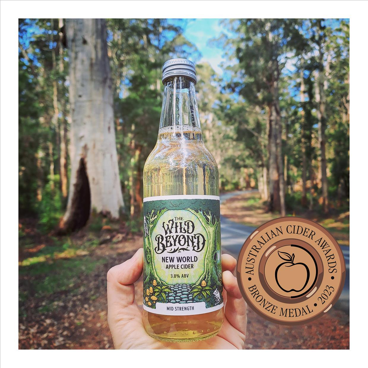 Medium-Sweet Cider (3.8%)