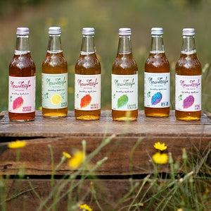 Mixed Sparkling Juices - 12 x 330ml