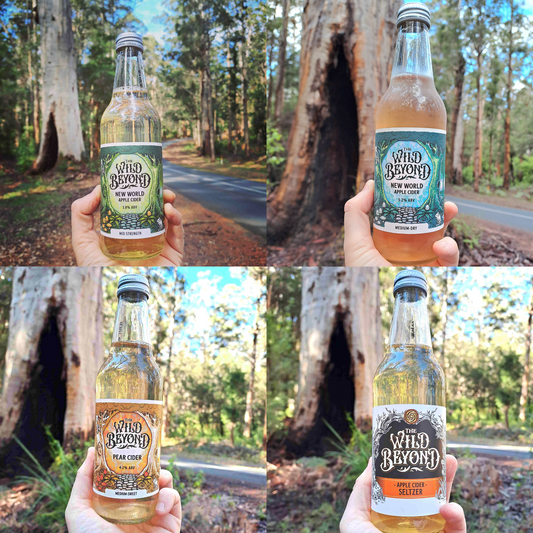 Mixed carton of 330ml ciders
