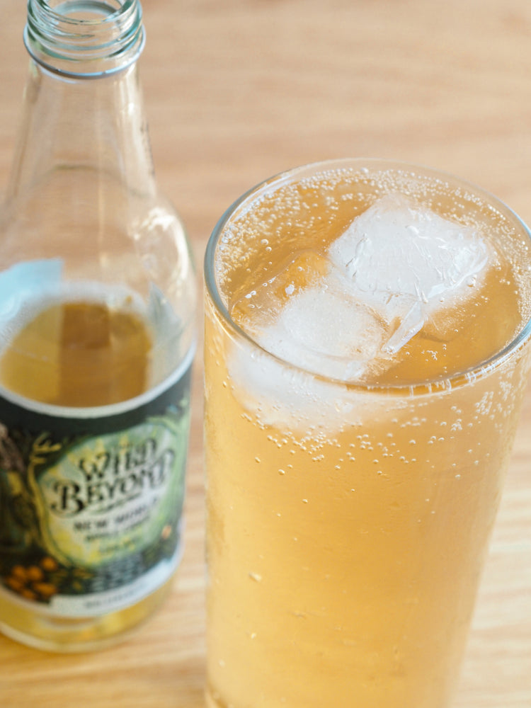The Wild Beyond- New World Cider 3.8% - Taster in your juice carton